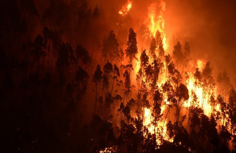 A picture taken on June 18, 2017 shows a forest in flames during a wildfire near the village of Mega Fundeira. 
Portugal declared three days of national mourning from June 18, 2017 after the most deadly forest fire in its recent history, raging through the centre of the country.
The fire, which broke out June 17, 2017 in the Pedrogao Grande district, had killed at least 62 people and injured more than 50, according to the latest official update by Sunday afternoon.   / AFP PHOTO / MIGUEL RIOPA