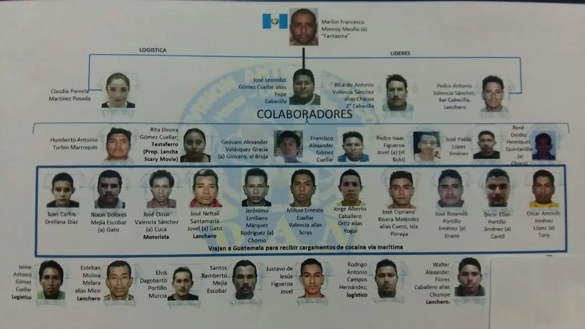 Estructura organiozativa de red