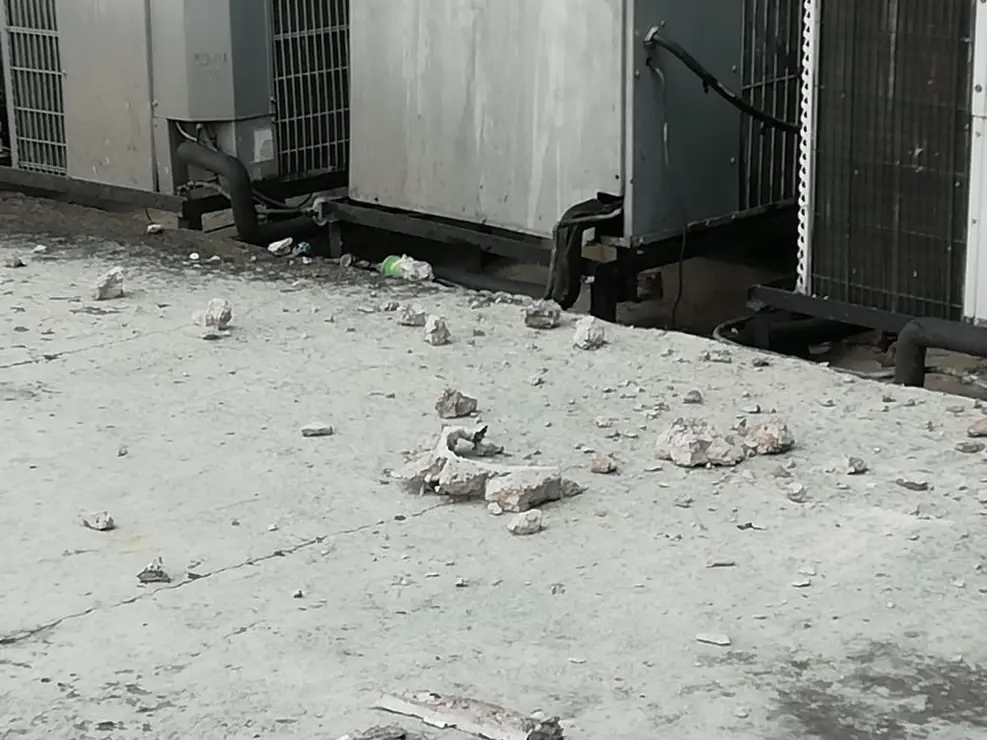 WhatsApp Image 2019-02-01 at 11.00.47 AM