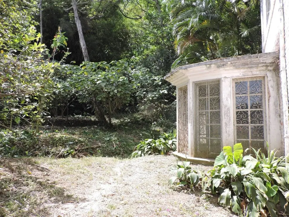 53810977_370715786858457_2584556467981910016_o