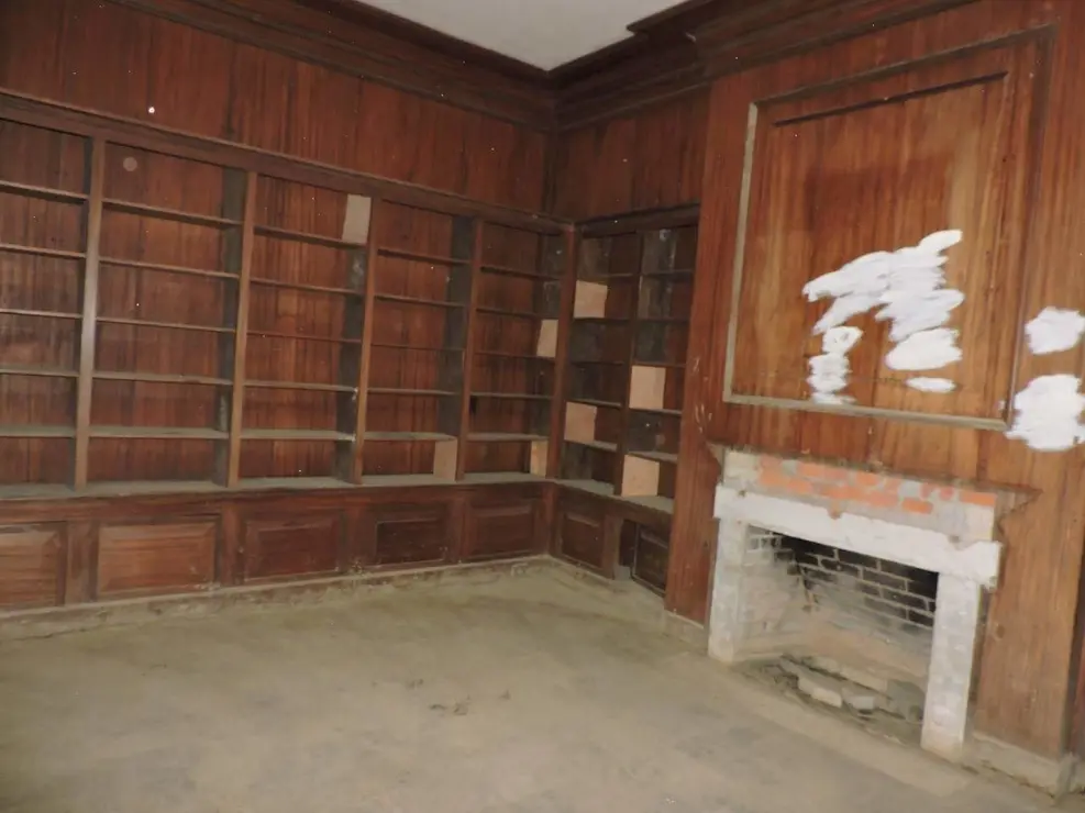 FB_IMG_1552838978754