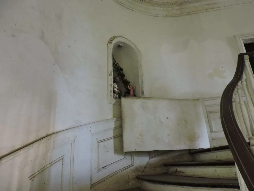 FB_IMG_1552839023495