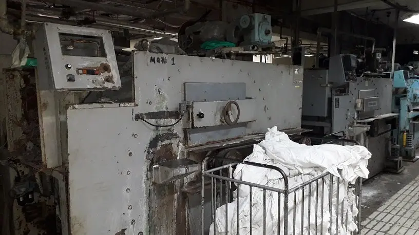 Rosales Lavander&iacute;a 6