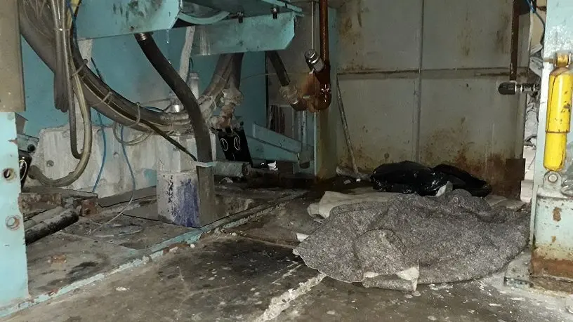 Rosales Lavander&iacute;a 9