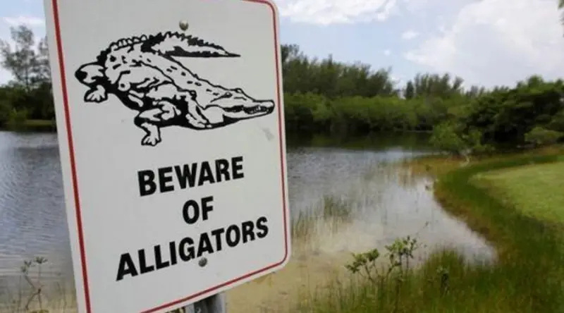 R&oacute;tulos que instala Disney en sus playas y lagos.