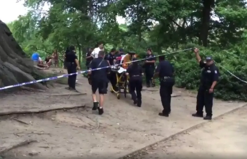 Explosi&oacute;n en Central Park