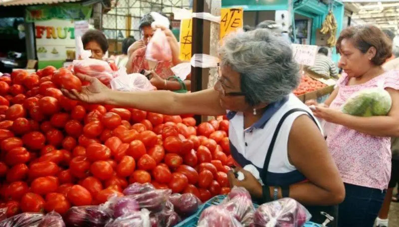 canasta b&aacute;sica