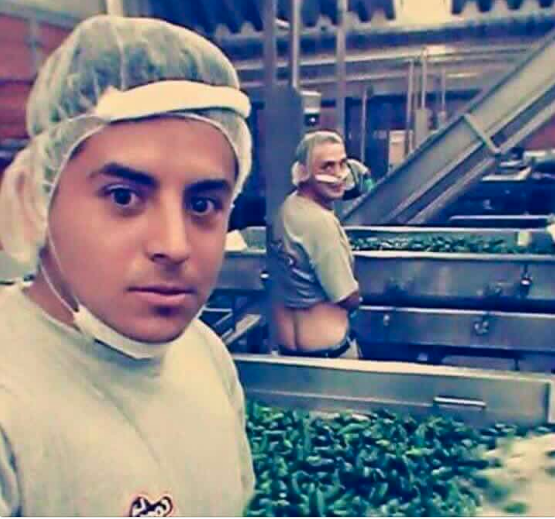 chile jalape&ntilde;o