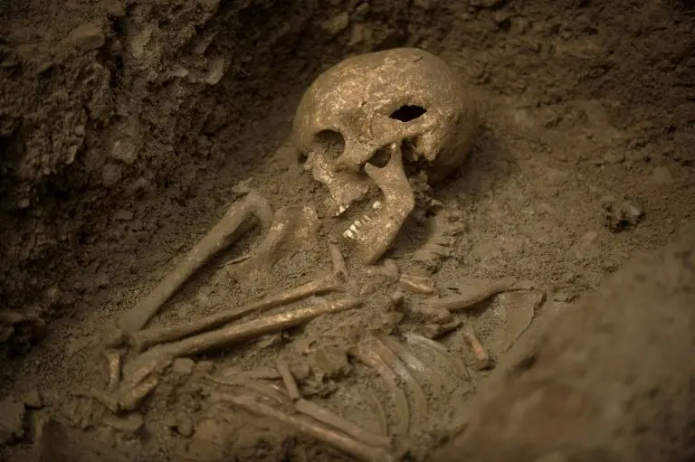 <p>Restos hallados en una necr&oacute;polis merovingia en Echenoz-la-Meline en Francia, en una foto tomada el 11 de junio de 2008</p>