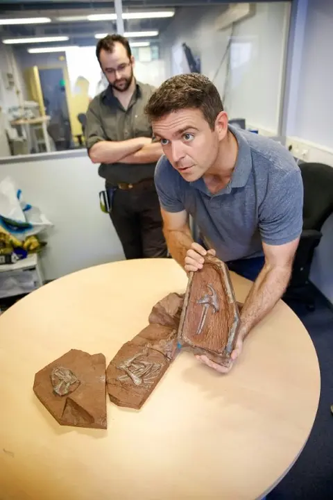 <p>El f&oacute;sil de un dinosaurio llamado Heterondotonsaurus hallado en Sud&aacute;frica, en una foto difundida por el ESRF el 26 de julio de 2016 en Grenoble, centro-este de Francia</p>