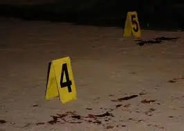 muert&oacute;n de noche