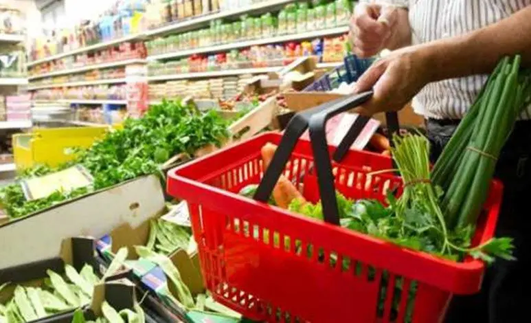 Canasta B&aacute;sica