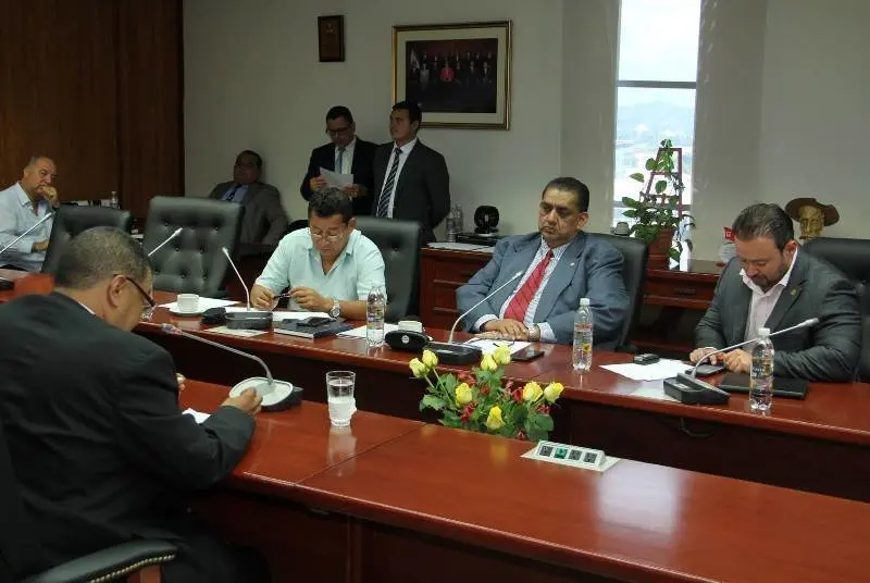 Elecci&oacute;n procurador