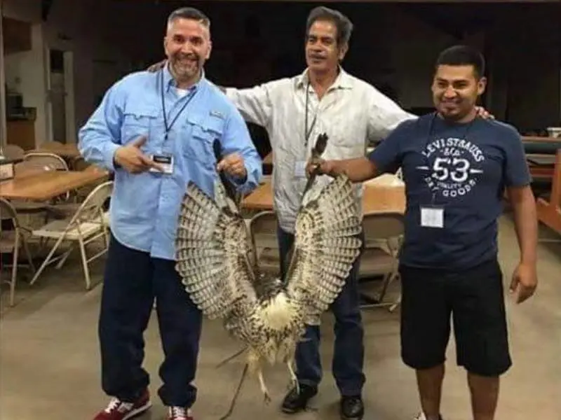 Toby sostiene &aacute;guila