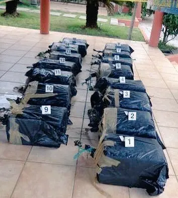 Fotograf&iacute;a de refencia