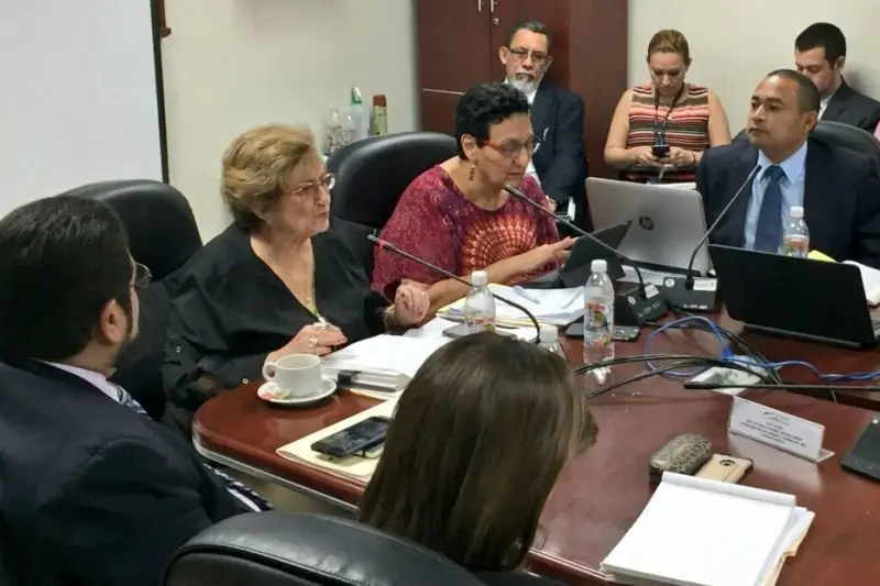 Milena en comisi&oacute;n Seguridad