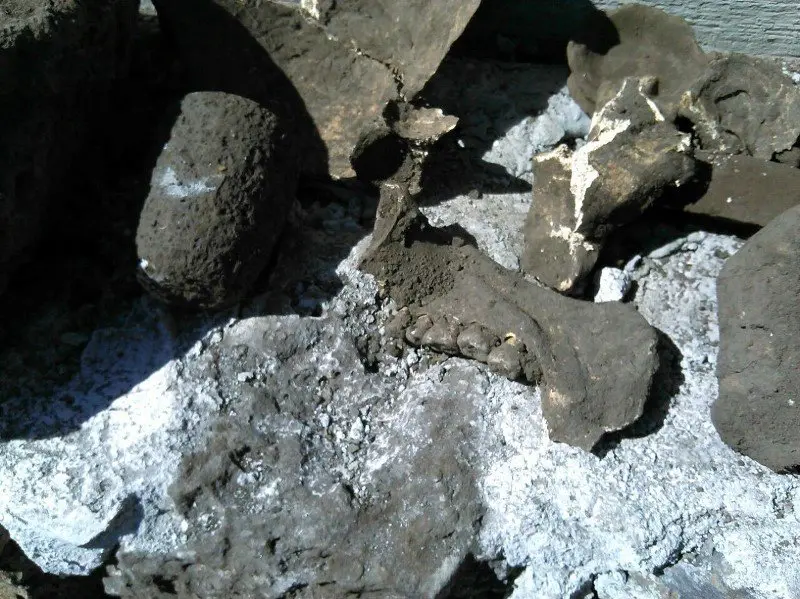 Foto Facebook Fiscal&iacute;a de Morelos, M&eacute;xico