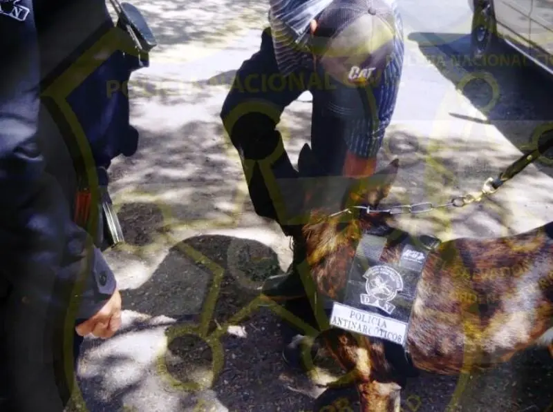 Polic&iacute;a canino