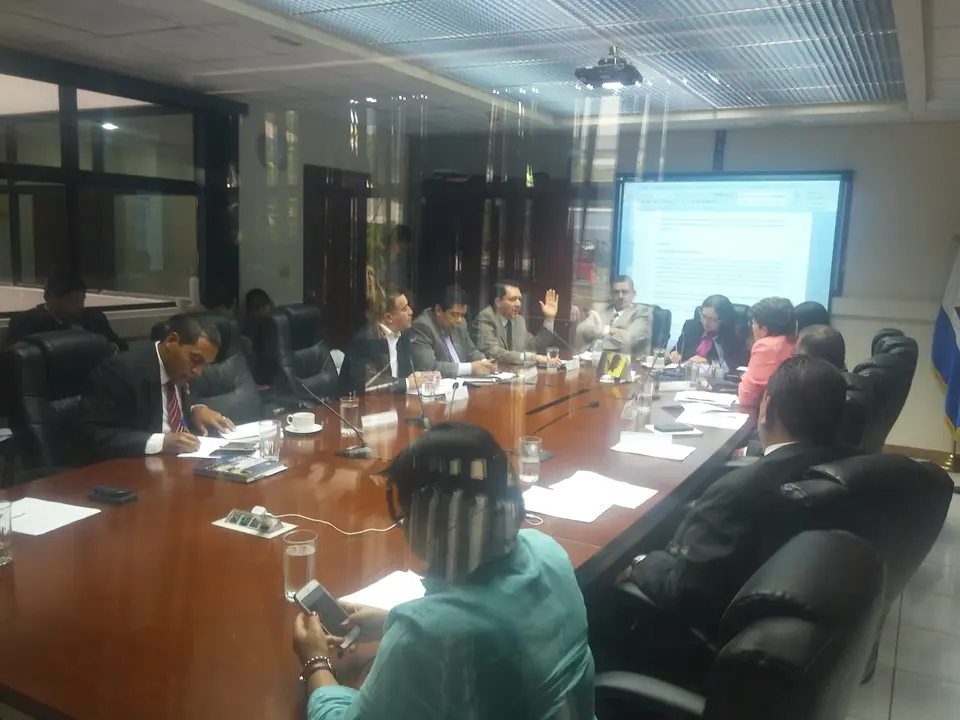 Comisi&oacute;n de asuntos electorales