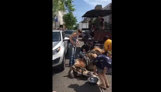 Transe&uacute;ntes auxilian a un caballo en Charleston, Estados Unidos