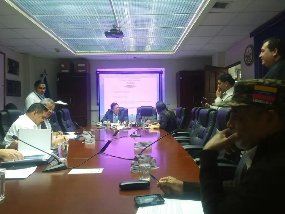 Comisi&oacute;n Seguridad