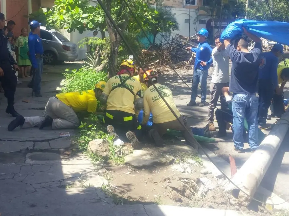 Un poste cay&oacute; sobre empleados de alcald&iacute;a