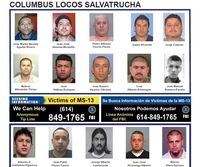 MS detenidos en Ohio