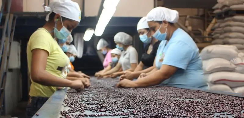 Importaci&oacute;n de frijol de Etiop&iacute;a y Nicaragua.