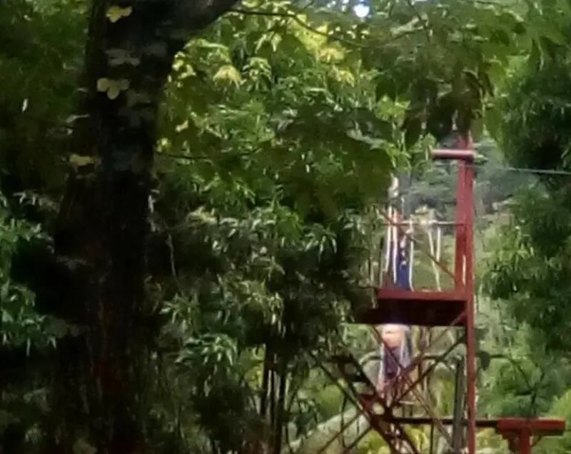 22338966_364707273979758_6377979454833716789_o