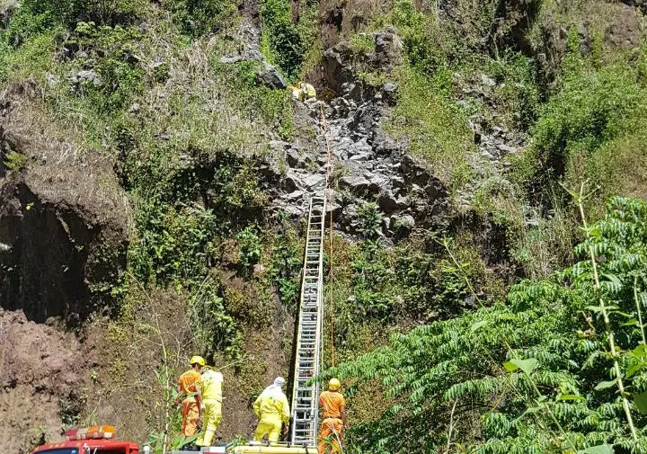 Vela-Pared&oacute;n-Lolotique