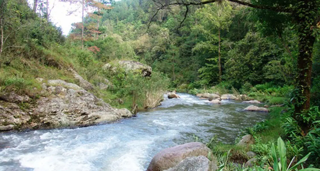 Quebrada en Lolotique