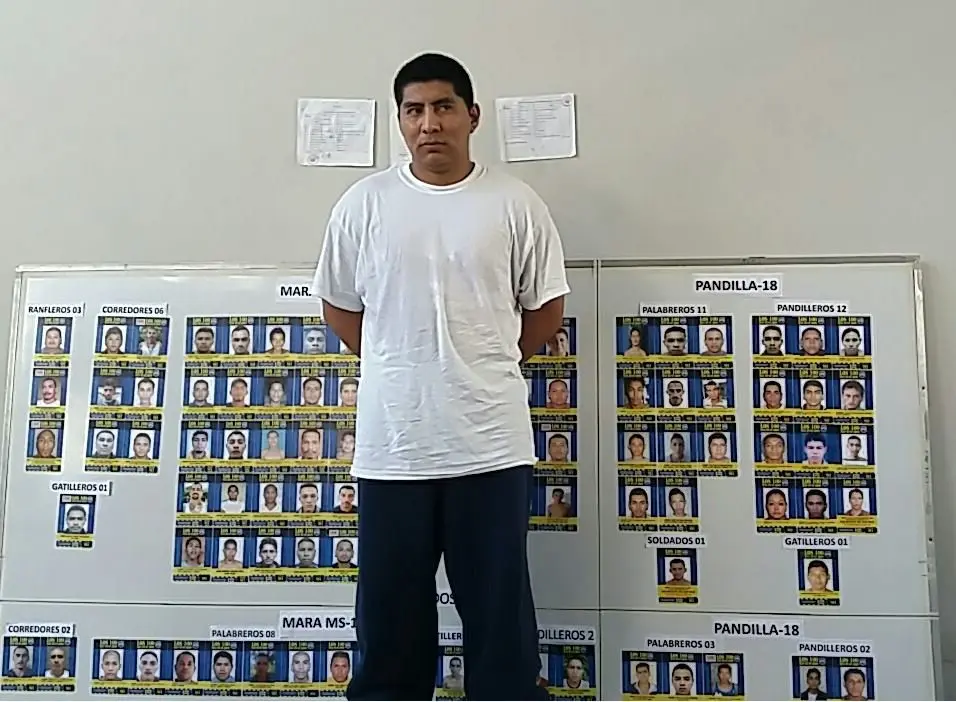 100 de los m&aacute;s buscados