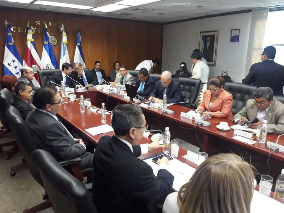 Comisi&oacute;n Seguridad