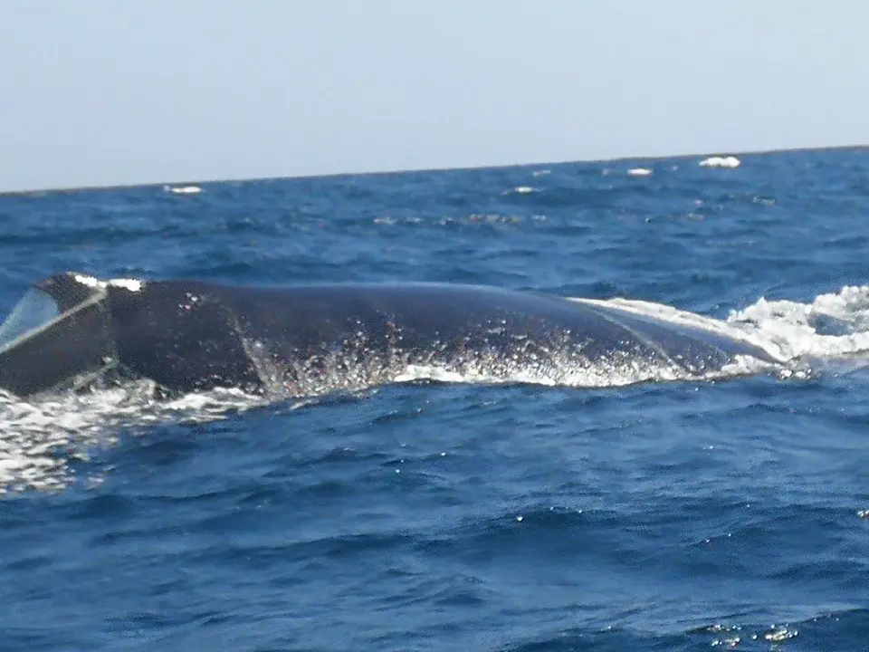 2FB295B1-16B3-4702-8152-3182AD3973B2