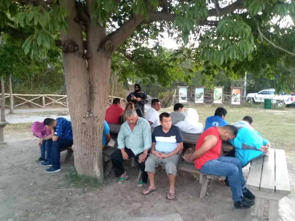 Detenidos Operaci&oacute;n Libertad