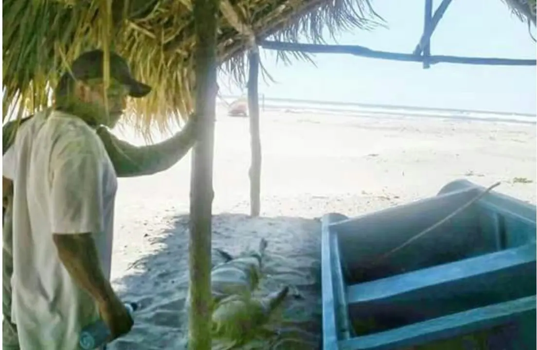 Ahogado en Intipuc&aacute;