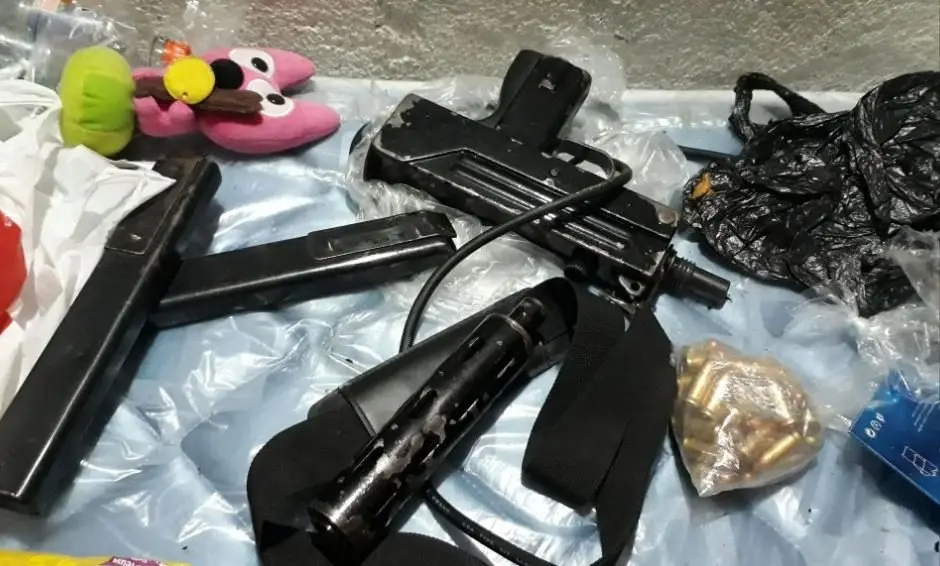 Armas en Constituci&oacute;n