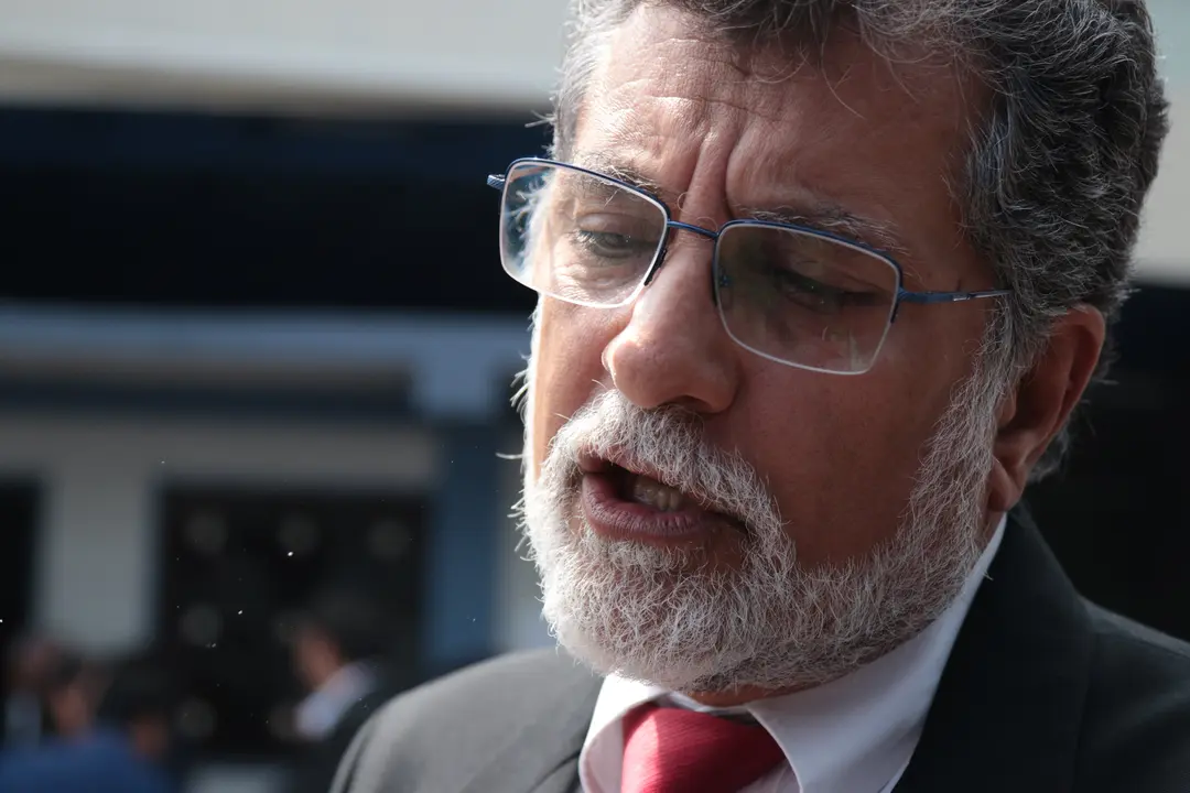 FMLN, Schafik Handal