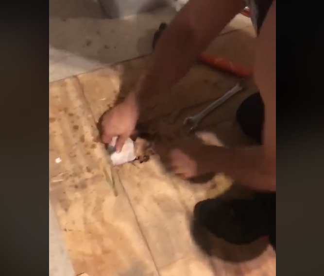 Imagen captura de pantalla del v&iacute;deo