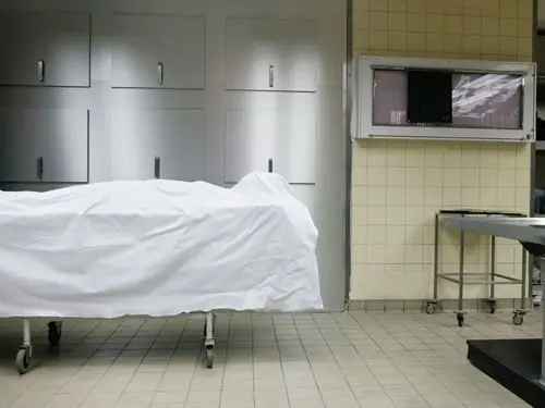 Imagen de referencia tomada de Marie Claire.