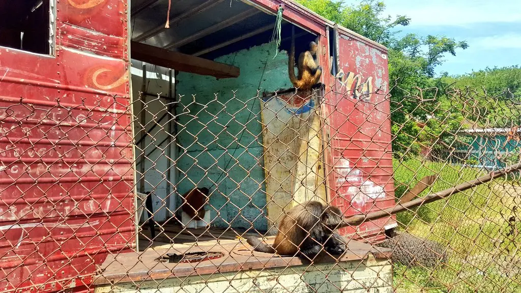 Foto tomada del Twitter del Ministerio de Medio Ambiente