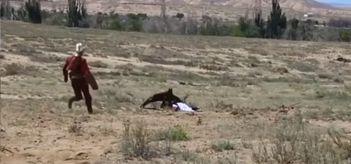 &Aacute;guila ataca a una ni&ntilde;a de 8 a&ntilde;os