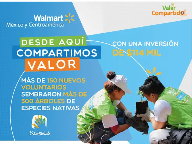 PERMANENTE Voluntariado Bicentenario-01