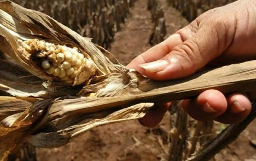 Imagen de referencia tomada de Estrategia y Negocios