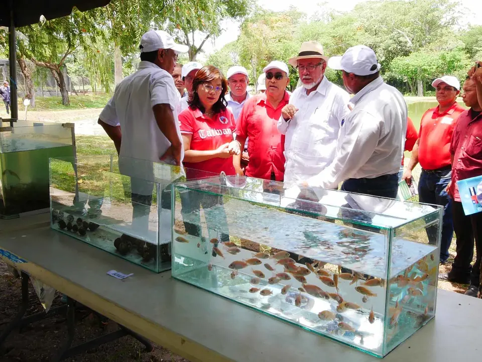 Este importante proyecto requiere del involucramiento de los acuicultores locales para lograr el &eacute;xito (1)