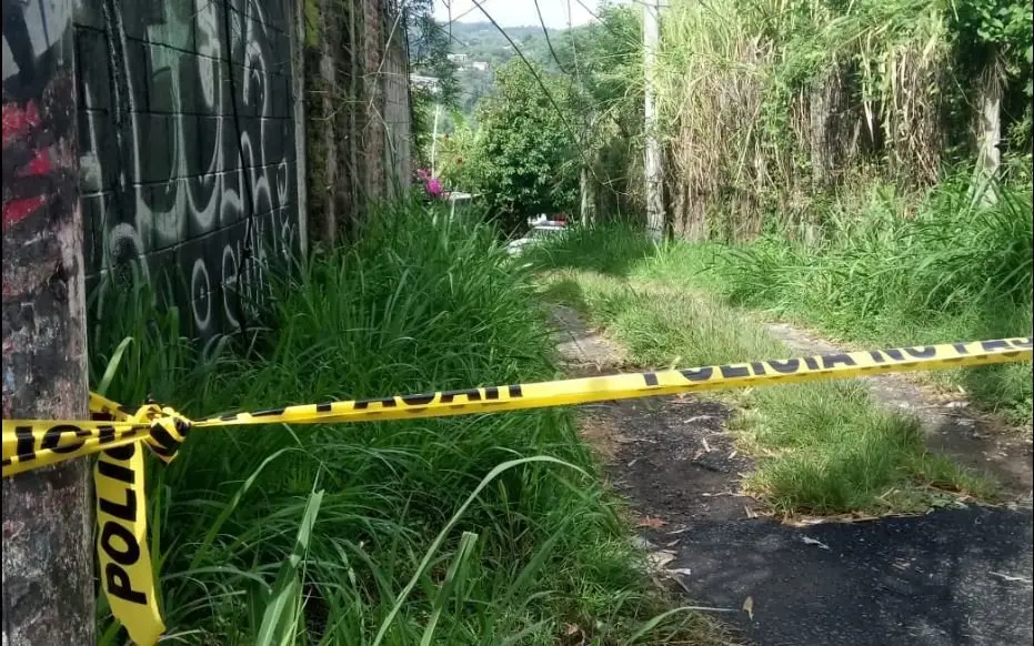 Homicidio en Los Planes de Renderos