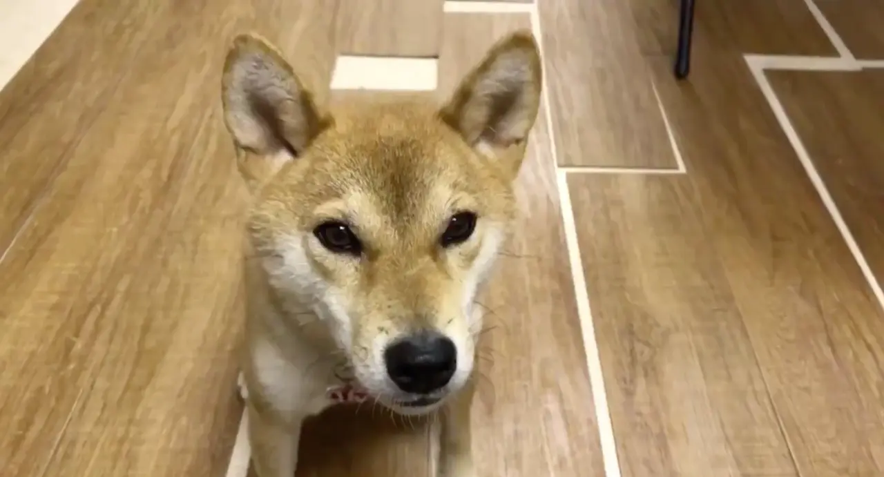 Imagen tomada de Posta