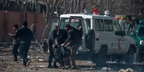 Imagen de referencia tomada de Amelia Rueda