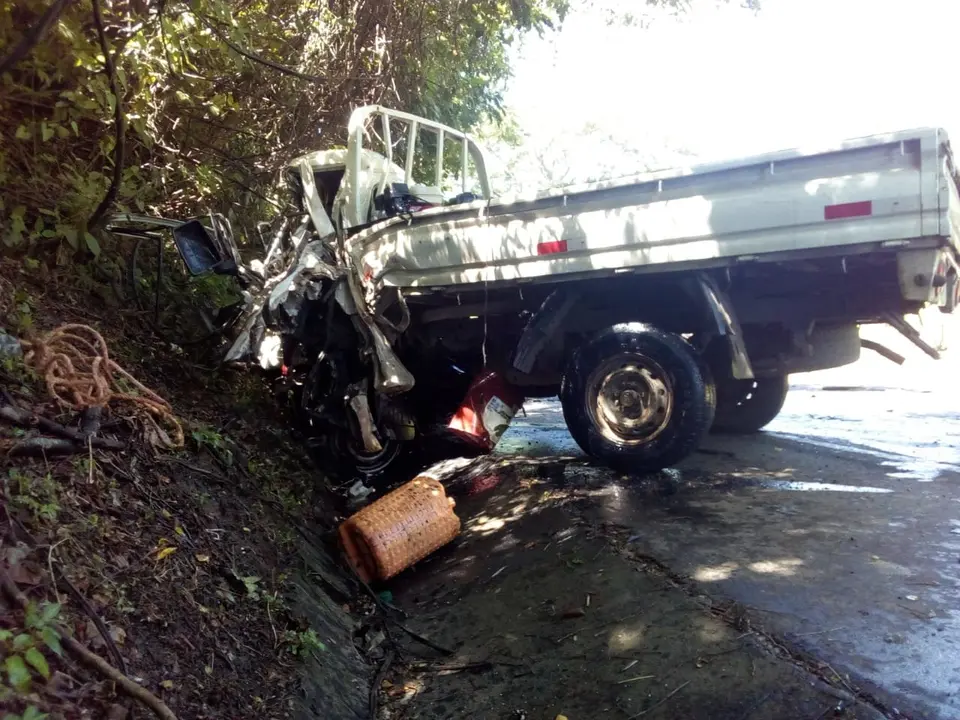 Cami&oacute;n blanco