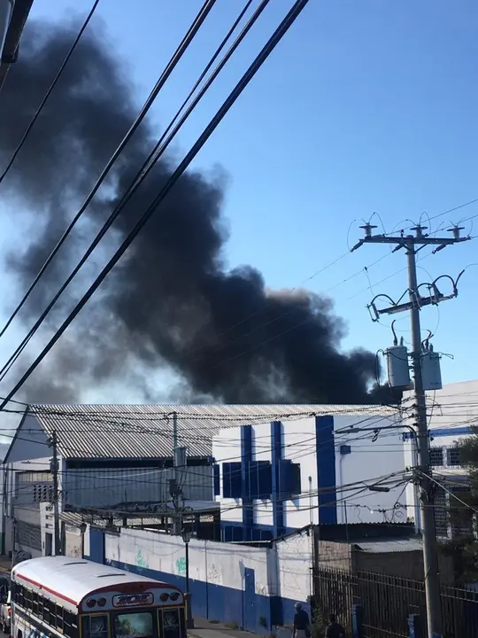 WhatsApp Image 2019-01-05 at 3.51.23 PM